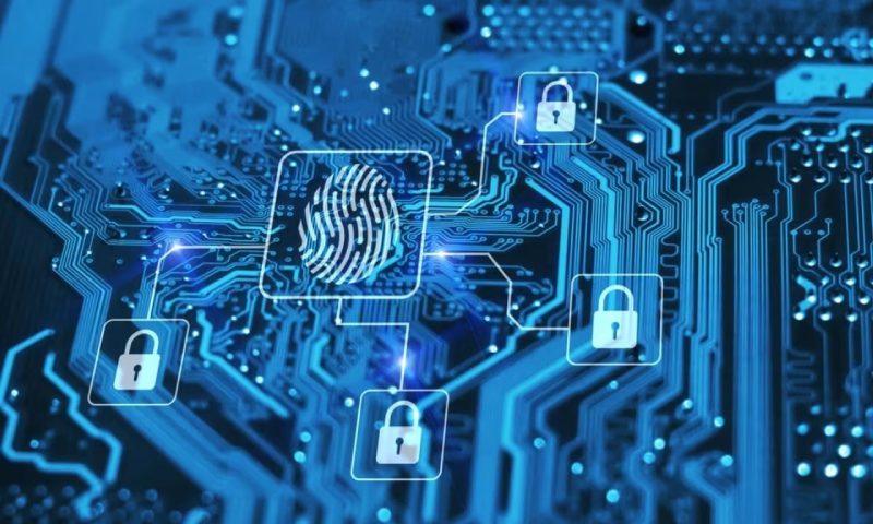 蕉城区小程序开发公司实力比拼：从案例口碑到技术交付的深度测评